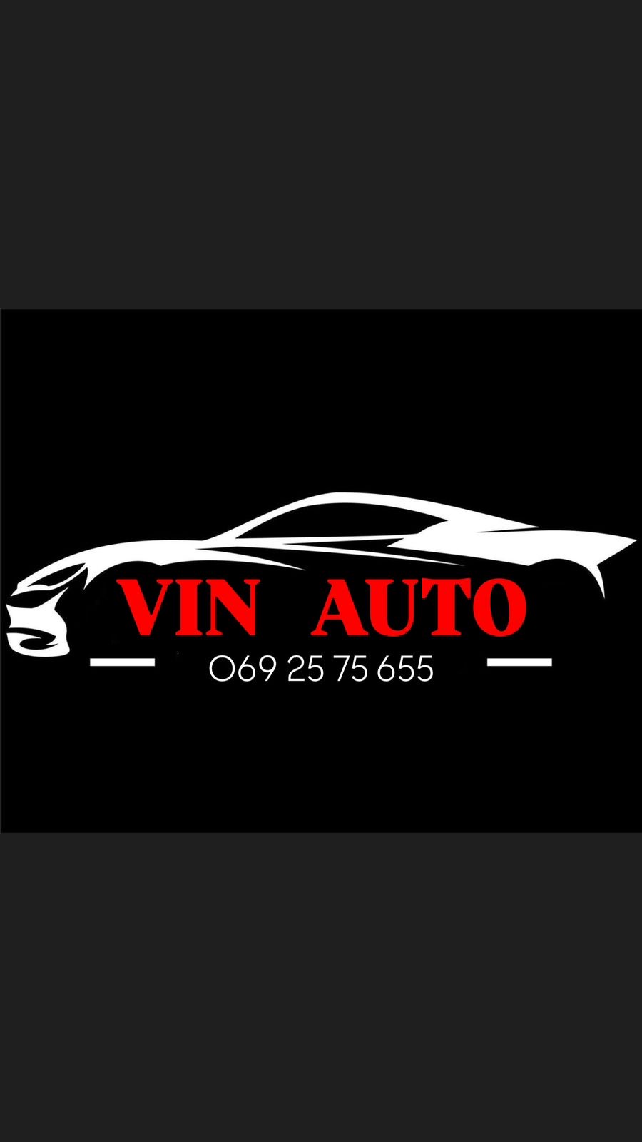 Vin auto logo